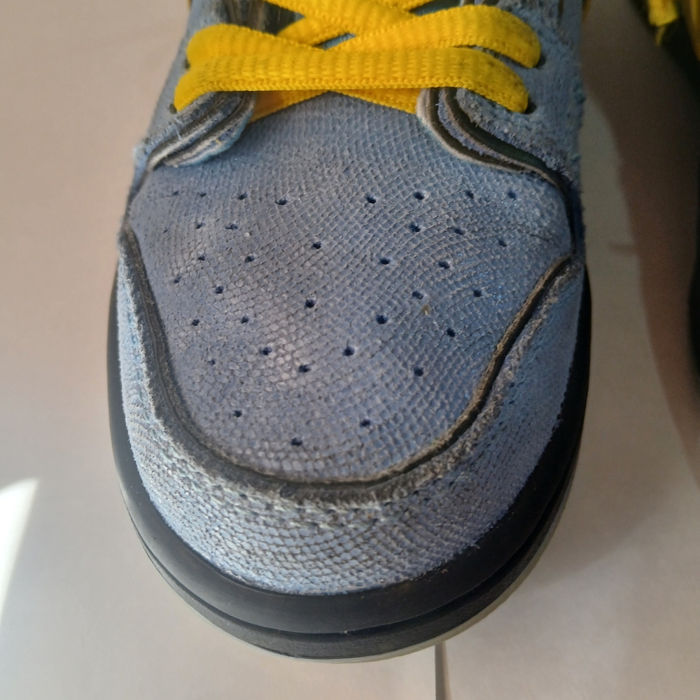 Nike SB Powerpuff Girls Bubbles Blue Dunks Kids Size 13c - Picture 7 of 16
